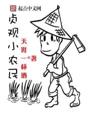 贞观小农民封面