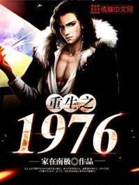 重生之1976封面