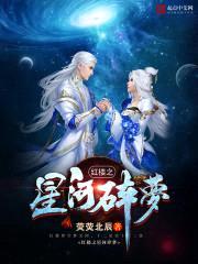 红楼之星河碎梦封面