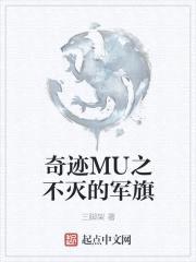 奇迹MU之不灭的军旗封面