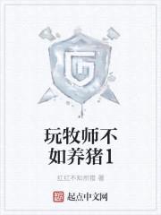 玩牧师不如养猪封面