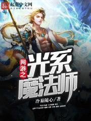 网游之光系魔法师封面