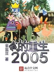 我的重生2005封面