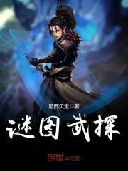民国之谜图武探封面