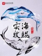 如何处理仇人的灵魂封面