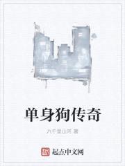 单身狗传奇封面