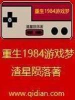 重生1984游戏梦封面