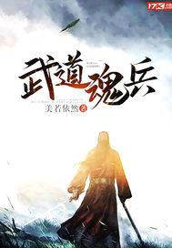 武道魂兵封面