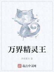 万界精灵王封面
