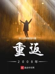 重返2008年封面