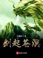 剑起苍溟封面