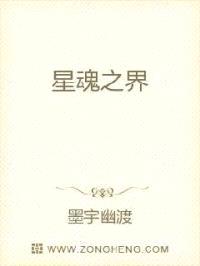 星魂之界封面