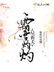 霜雪灼灼尽折夭封面