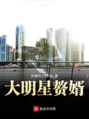 大明星赘婿封面