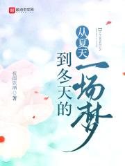 从夏天到冬天的一场梦封面