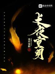 长夜重明封面