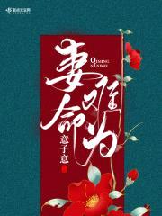 妻命难为封面