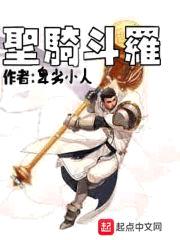 圣骑斗罗封面