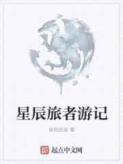 星辰旅者游记封面