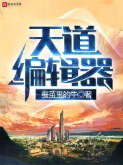 天道编辑器封面
