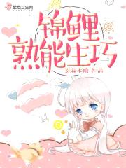 锦鲤熟能生巧封面
