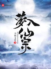 梦入仙宗封面