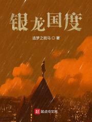 银龙国度封面
