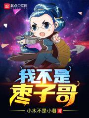 我不是枣子哥封面