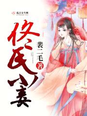佟氏小妾封面