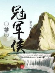 三国之冠军侯封面