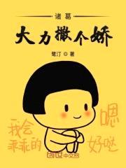 爱情公寓之大力撒个娇封面