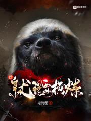 我就是要横练封面
