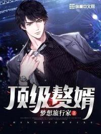 顶级赘婿封面
