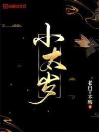 小太岁封面