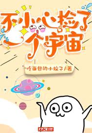不小心捡了一个宇宙封面