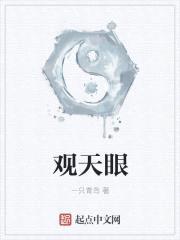 观天眼封面