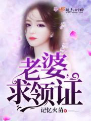 老婆求领证封面