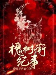 槐树街纪事封面