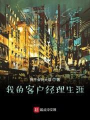 我的客户经理生涯封面
