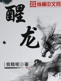 醒龙封面
