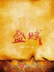 盛赋封面