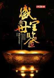盛世宝鉴封面