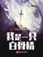 我是一只白骨精封面
