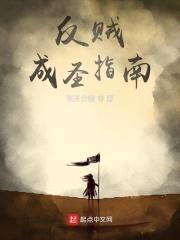 反贼成圣指南封面