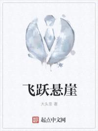 飞跃悬崖封面