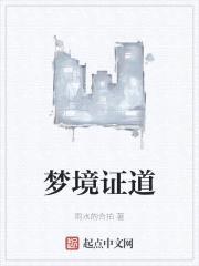 梦境证道封面