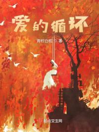 爱的循环封面