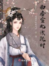 南香雪北浅疏时封面