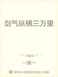 剑气纵横三万里封面