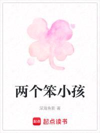 两个笨小孩封面